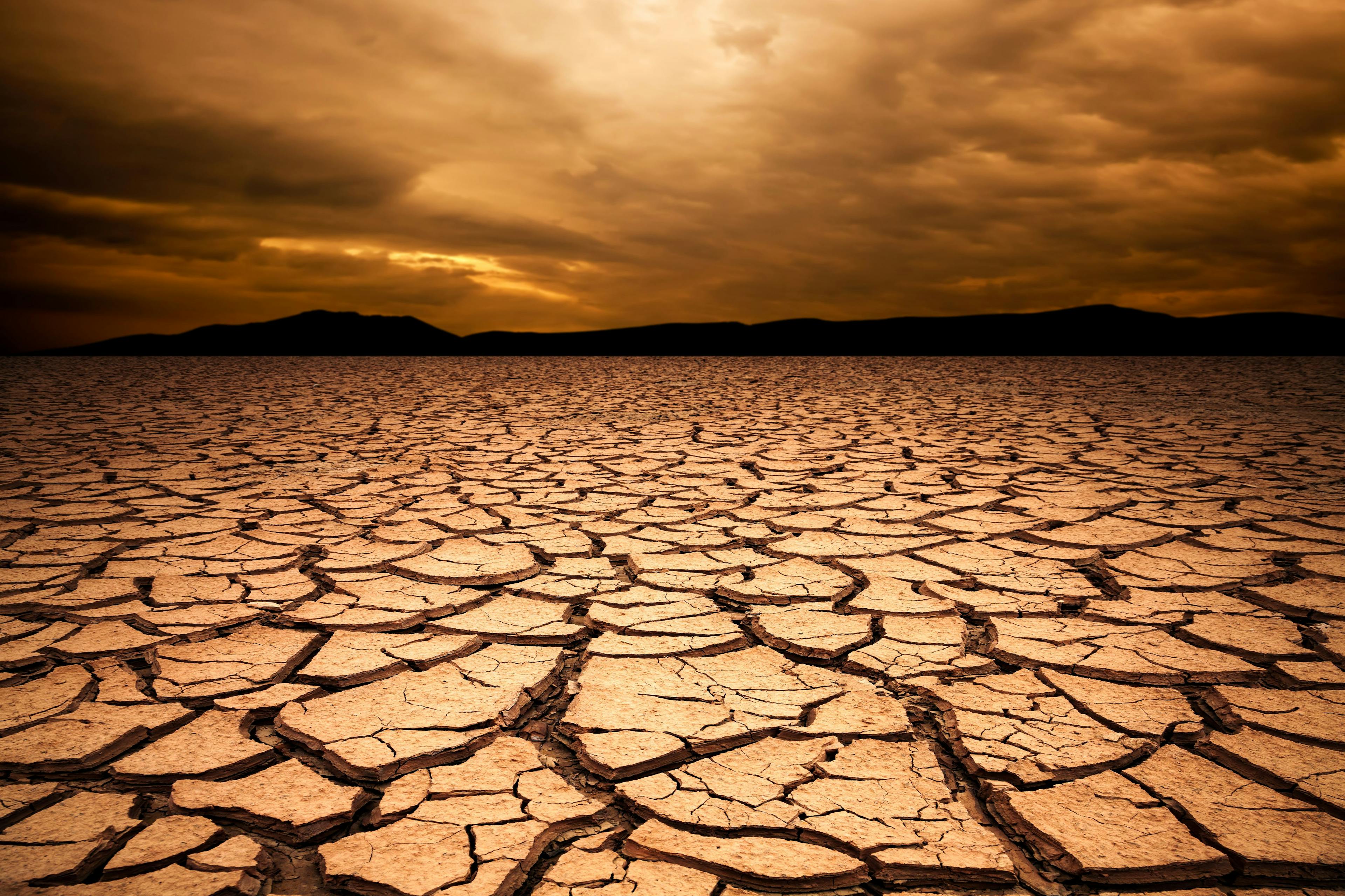 Drought © Jose Ignacio Soto - stock.adobe.com