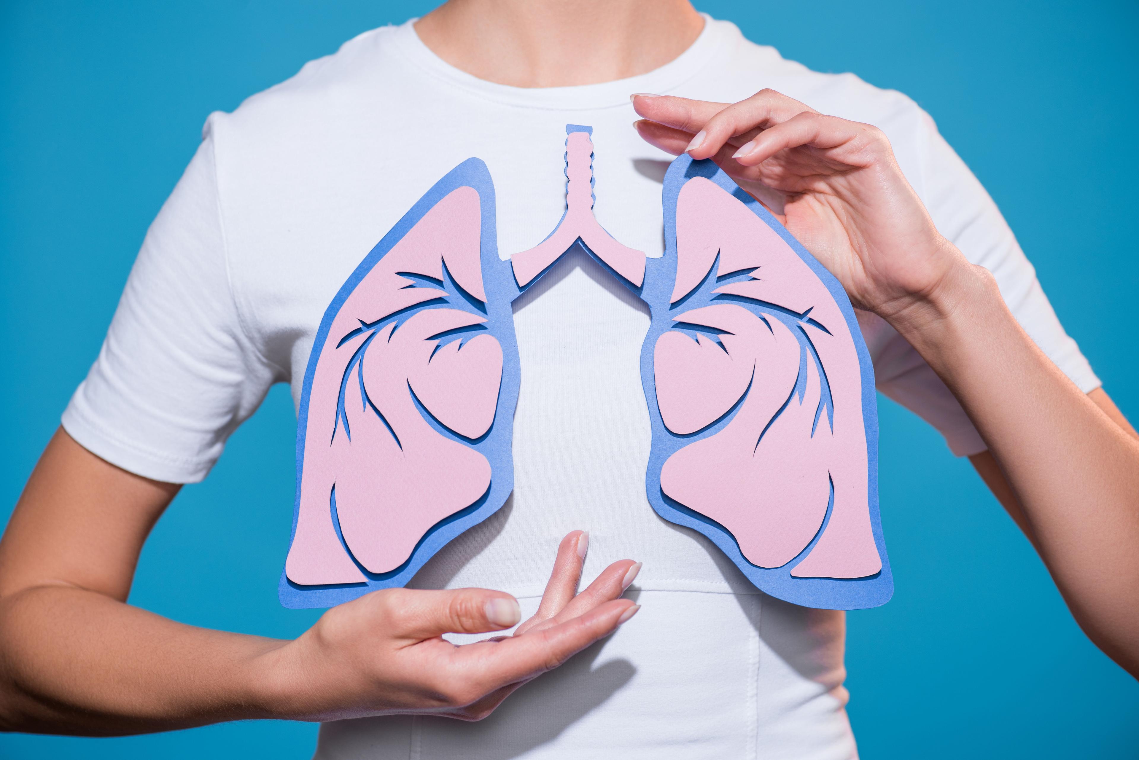 person holding cutout of the lungs |Image credit: Lightfield Studios  stock.adobe.com