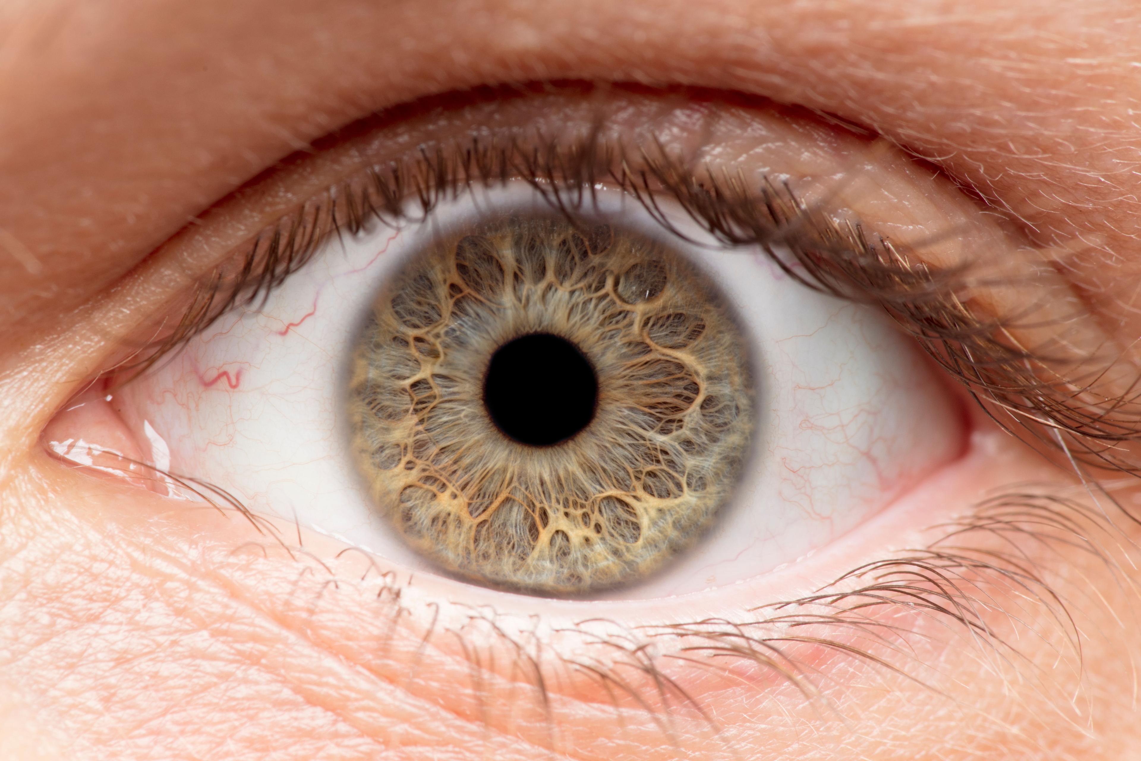 close up of eye | Image credit: ©bradleyblackburn stock.adobe.com