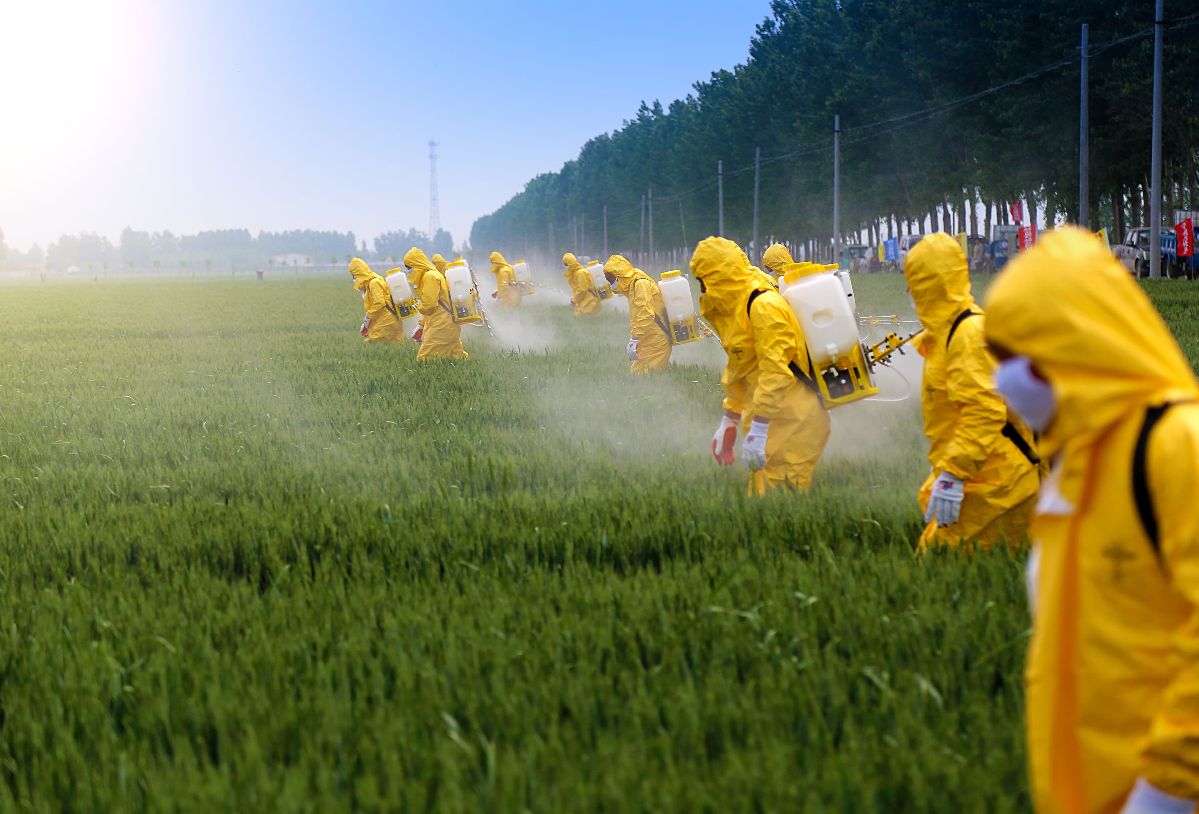 people spraying pesticide | Image credit: ©xb100 stock.adobe.com