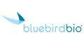 Bluebird bio’s Gene Therapy for CALD Gets Accelerated Approval