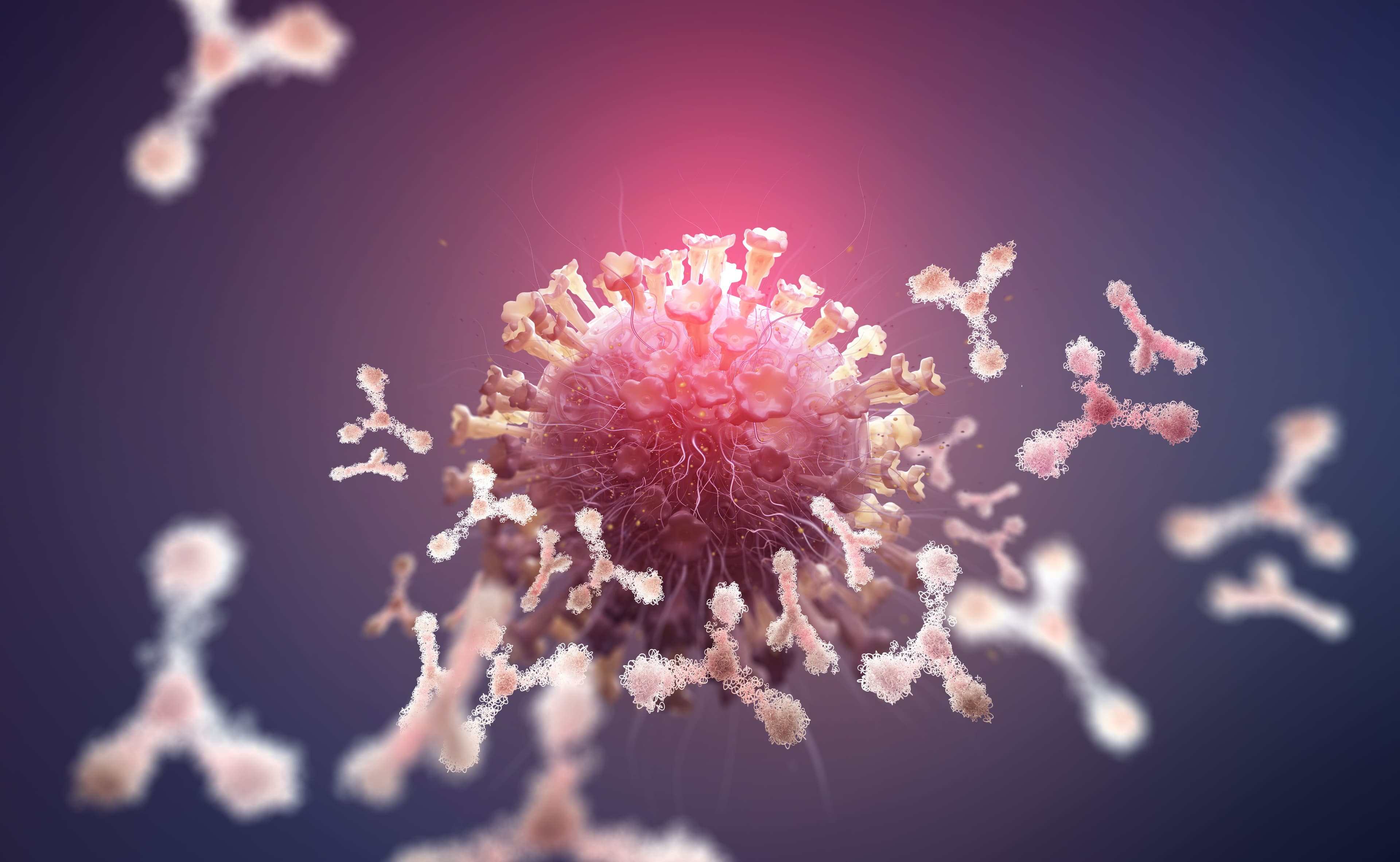 Iceland Study Shows Durable Antibody Response to SARS-CoV-2