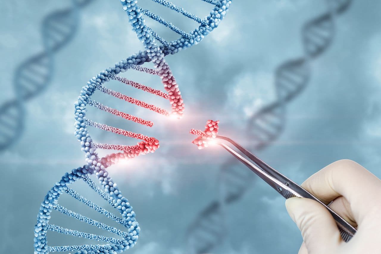 A gene being edited | Image credit: natali_mis - stock.adobe.com