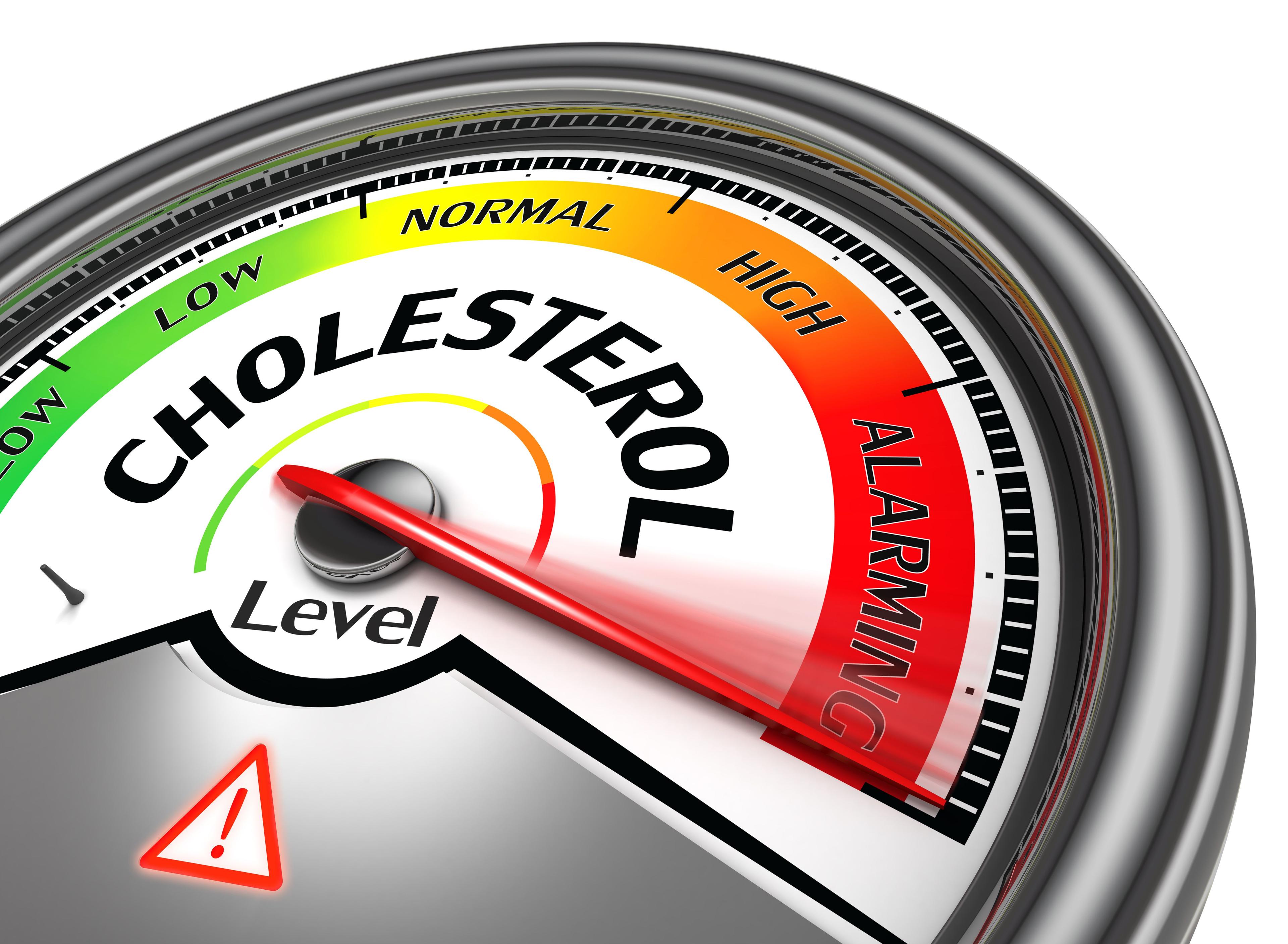 cholesterol meter | Image credit: @fontriel stock.adobe.com